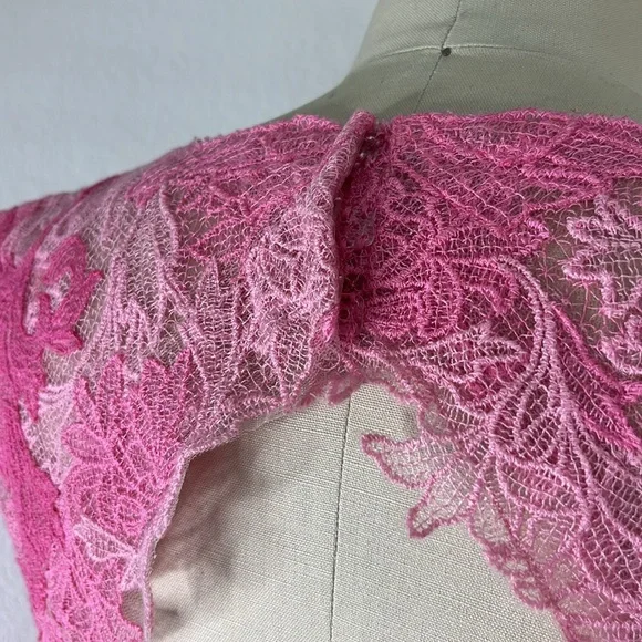 Tadashi Shoji Ines Lace Sheer Floral Open Backless Rose Silk Dress